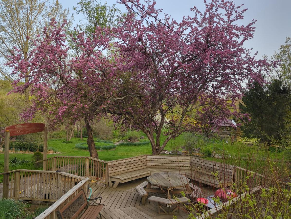 Wildflower Cottage Оксфорд Екстер'єр фото